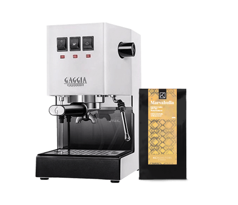 Gaggia TS Semi-Commercial Espresso Machine  Gaggia TS Espresso Machine –  Vacuum Direct