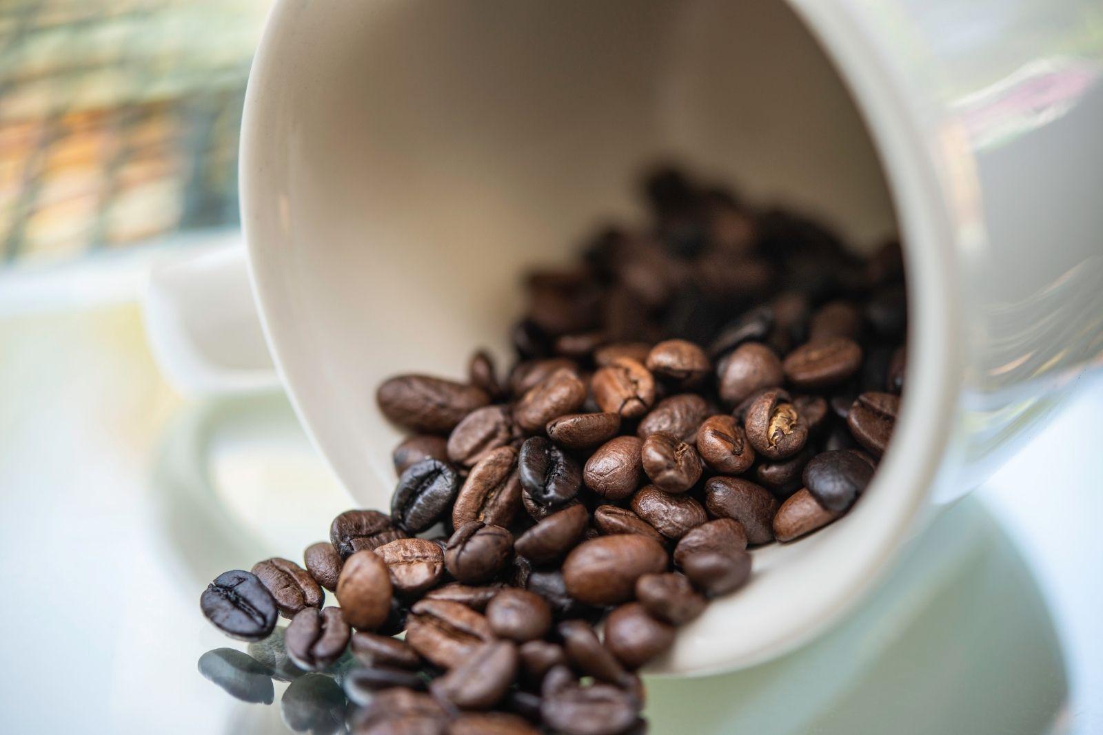 Dark Roast Vs. Medium Roast Coffee - What You Need to know?
